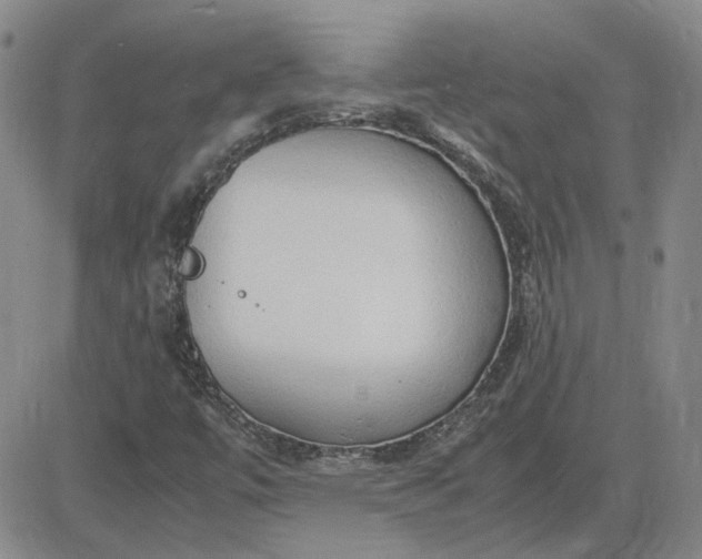 X0000083621447200702260941