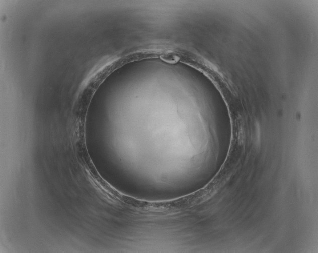 X0000083621448200702260941