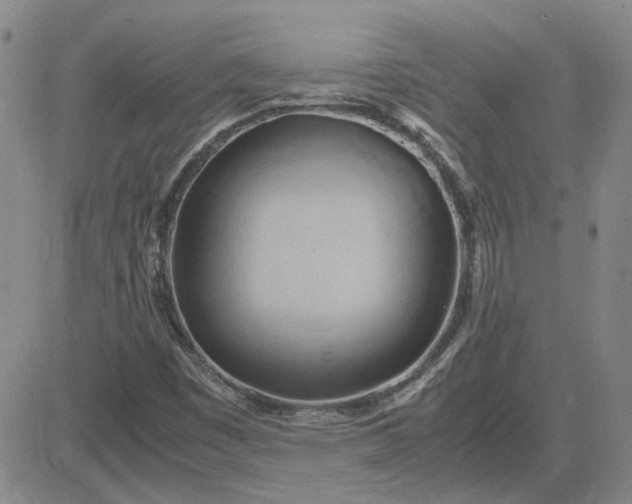 X0000083621449200702260941