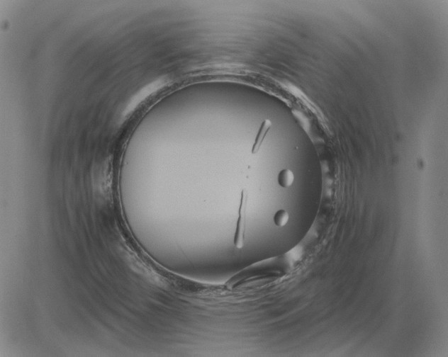 X0000083621450200702260941