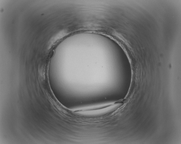 X0000083621451200702260941