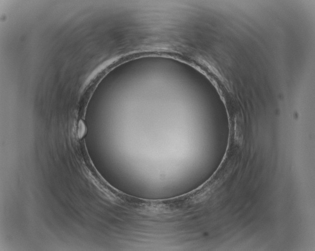 X0000083621452200702260941