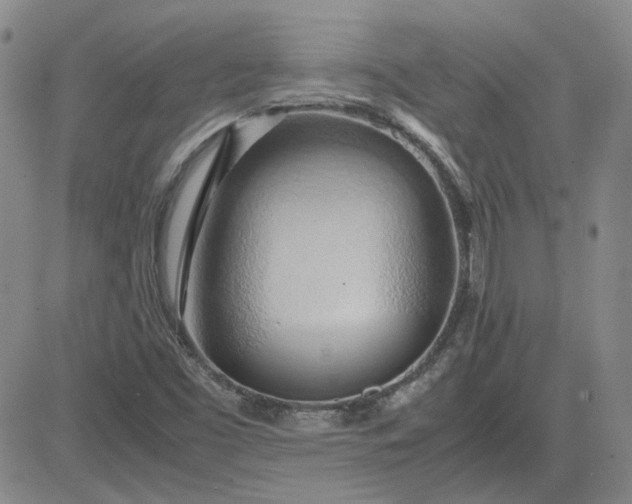 X0000083621453200702260941