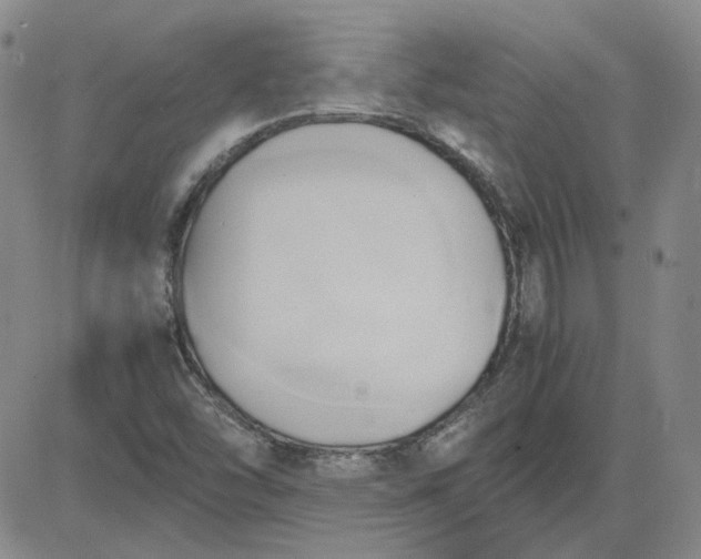 X0000083621454200702260941