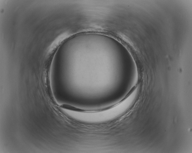 X0000083621455200702260941