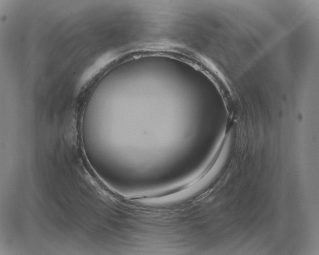 X0000083621456200702260941