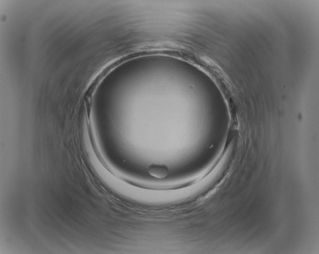 X0000083621457200702260941