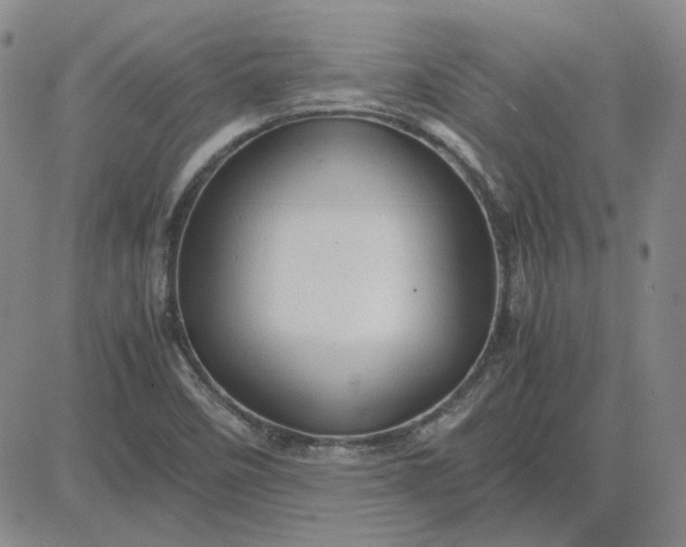 X0000083621458200702260941