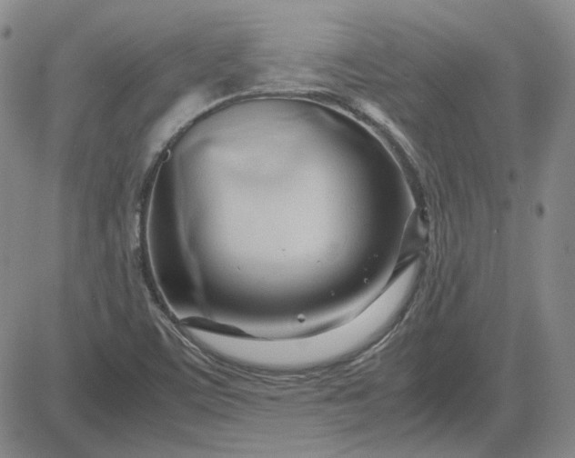 X0000083621459200702260941