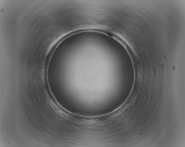 X0000083621460200702260941