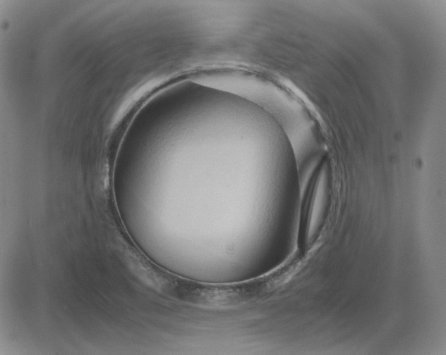 X0000083621461200702260941