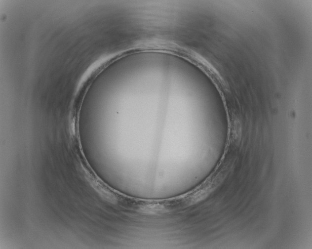 X0000083621462200702260941