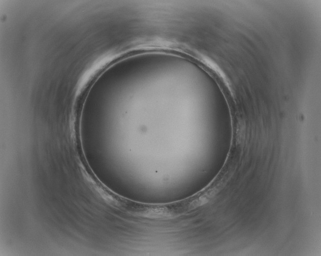 X0000083621464200702260941