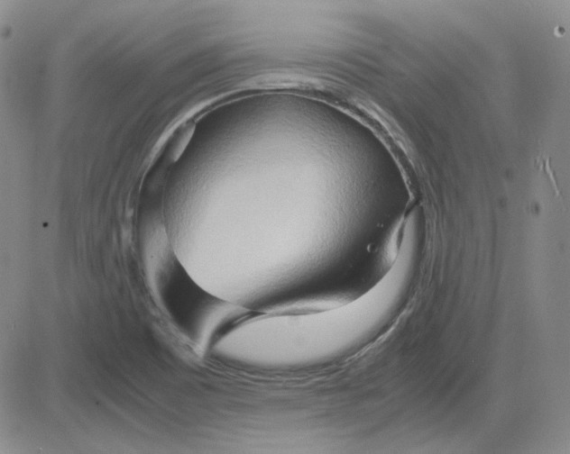 X0000083621465200702260941