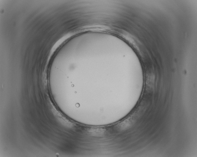 X0000083621466200702260941