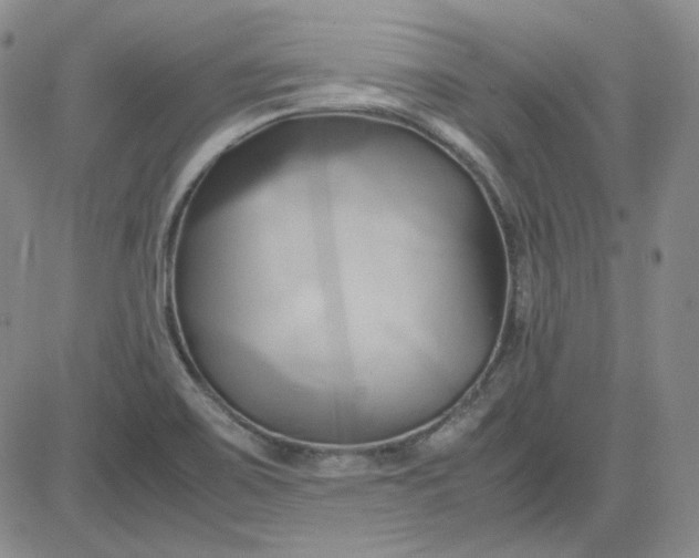 X0000083621467200702260941