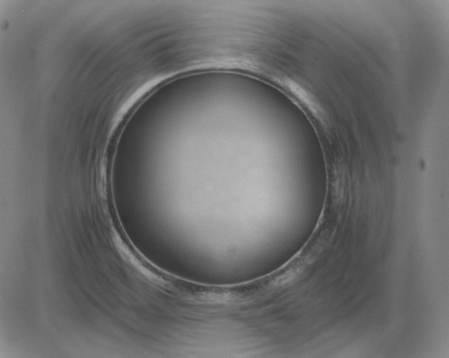 X0000083621468200702260941