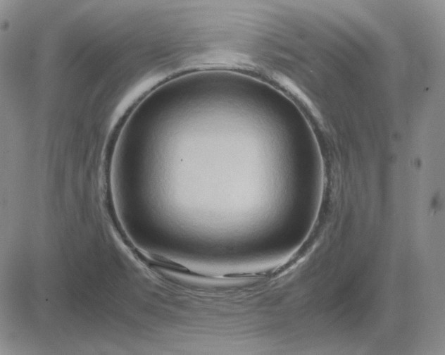 X0000083621469200702260941