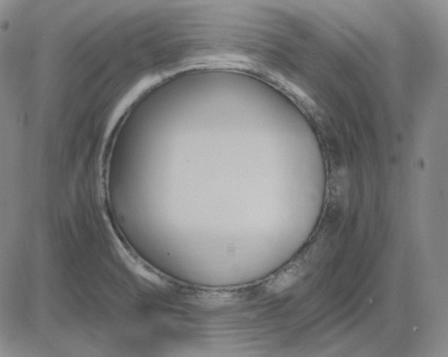 X0000083621470200702260941