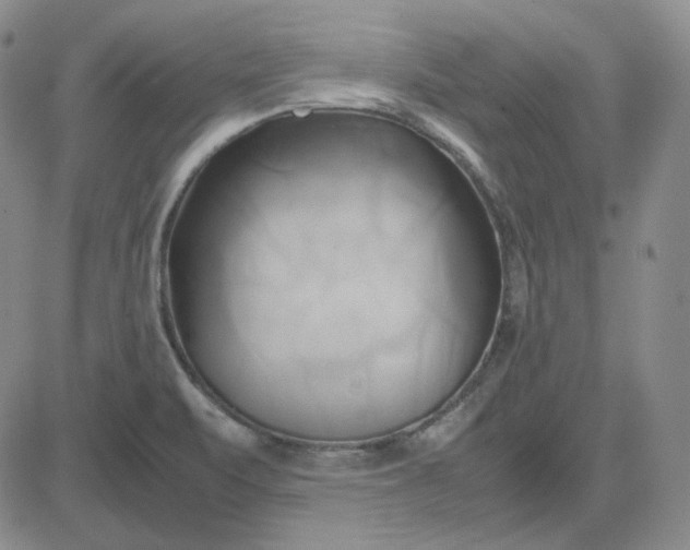 X0000083621471200702260941