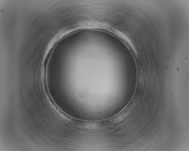 X0000083621472200702260941