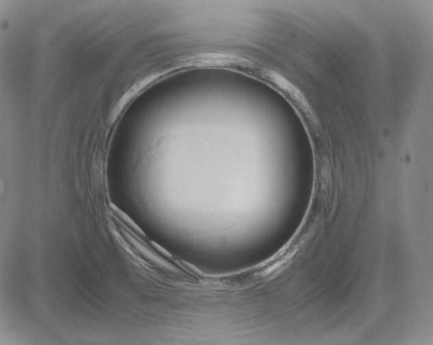 X0000083621473200702260941