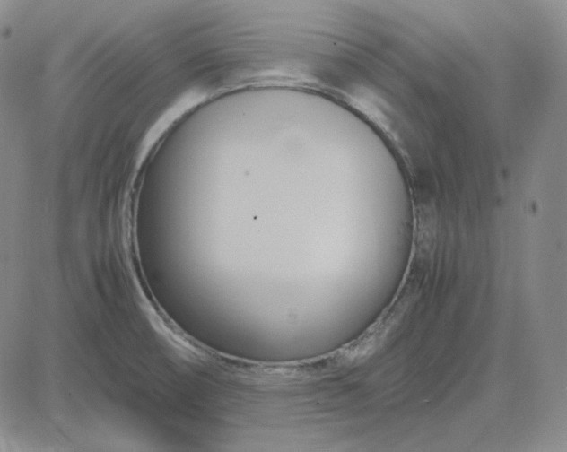 X0000083621474200702260941