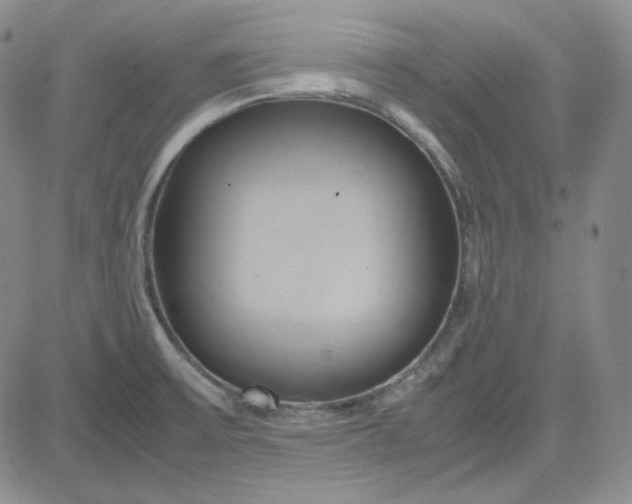 X0000083621475200702260941