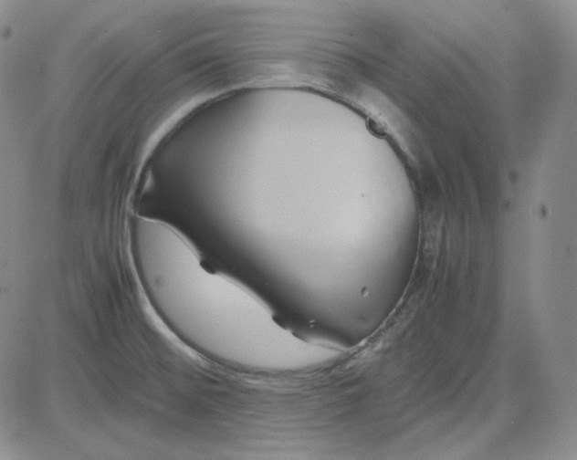 X0000083621476200702260941