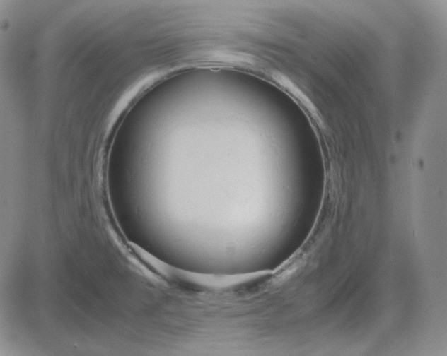 X0000083621477200702260941