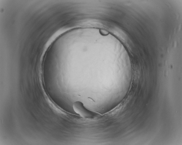 X0000083621478200702260941