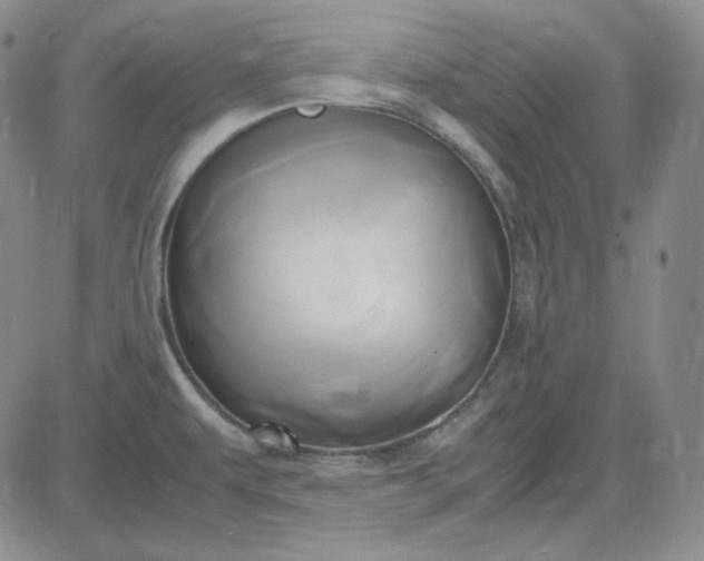 X0000083621479200702260941