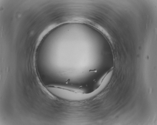 X0000083621480200702260941