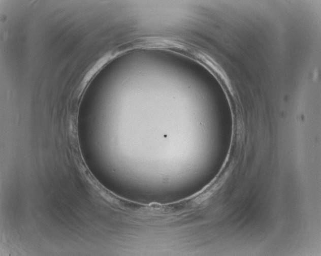 X0000083621481200702260941