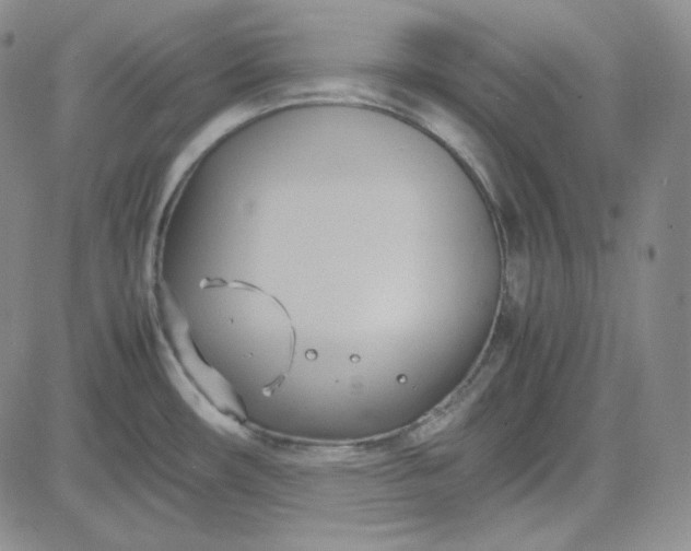 X0000083621482200702260941