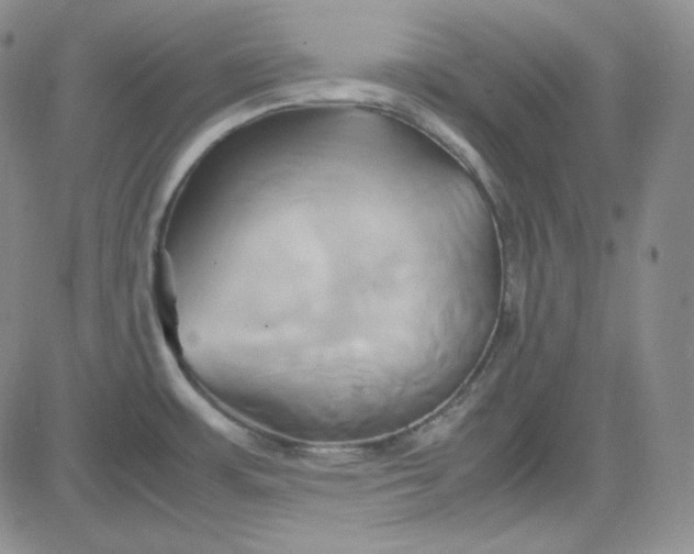 X0000083621483200702260941