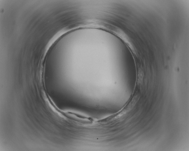 X0000083621484200702260941