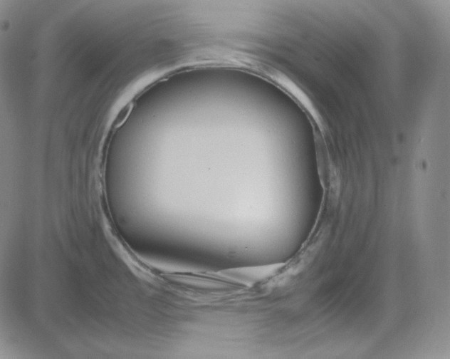 X0000083621485200702260941