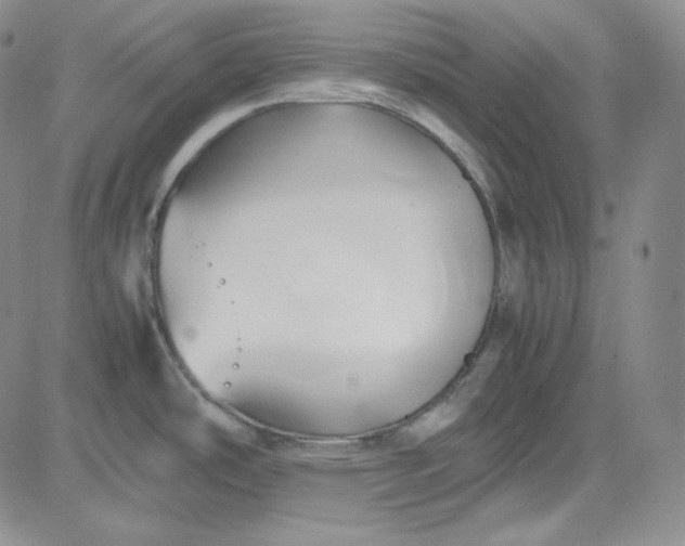 X0000083621486200702260940