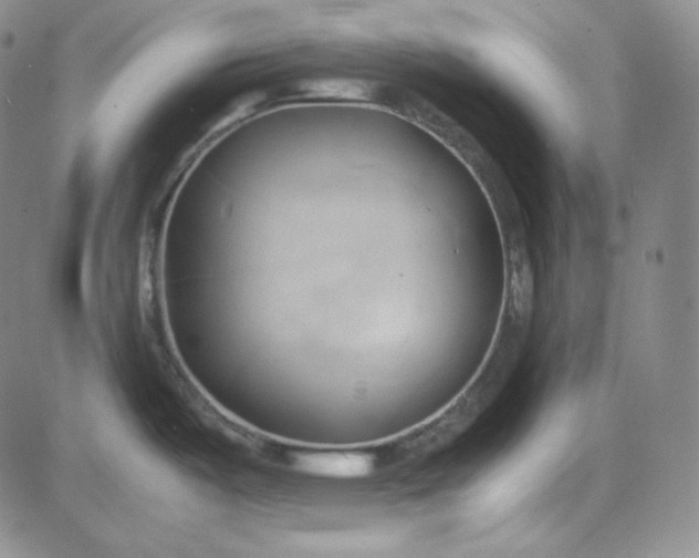 X0000083621487200702260940