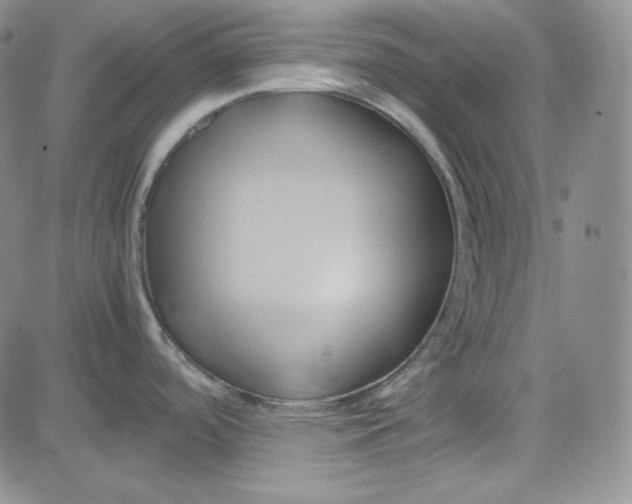 X0000083621488200702260940