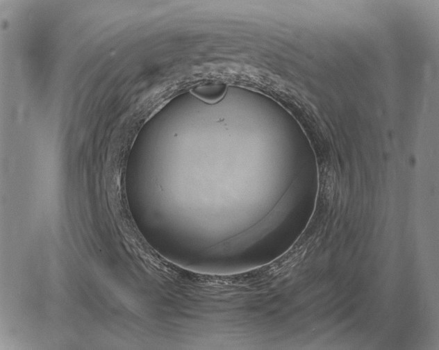 X0000083621489200702260940