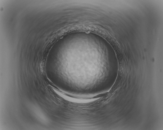 X0000083621490200702260940