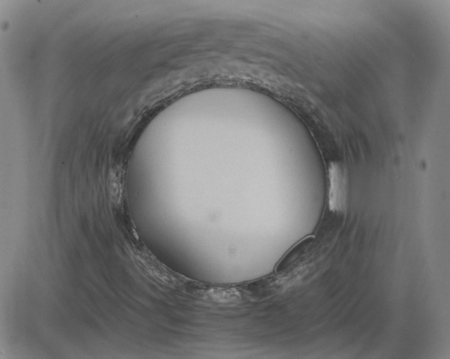 X0000083621491200702260940