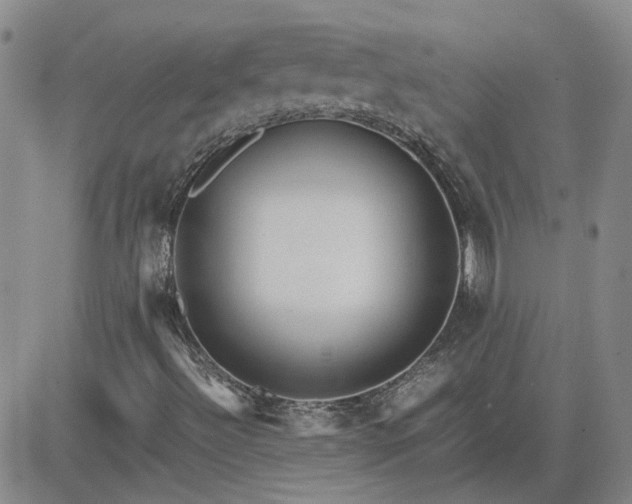 X0000083621492200702260940