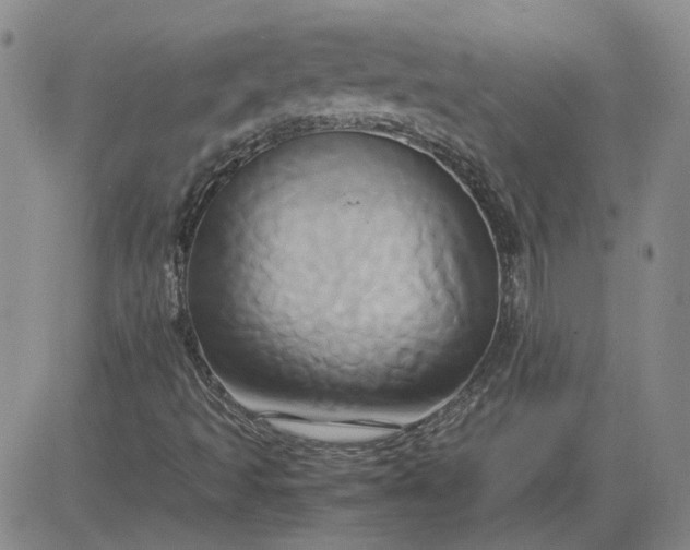 X0000083621493200702260940