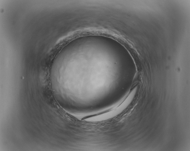 X0000083621494200702260940