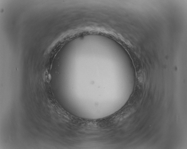 X0000083621495200702260940