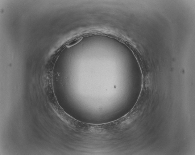 X0000083621496200702260940