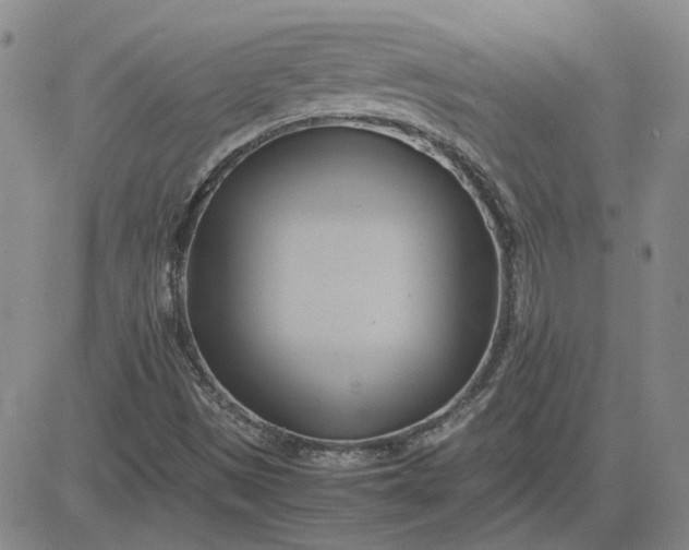 X0000083621497200702260940